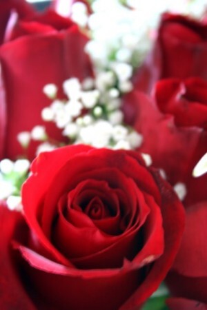 img_3212 img_3212