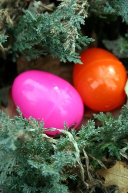 img_3972 img_3972