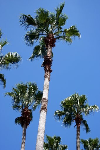 IMG_8262 IMG_8262