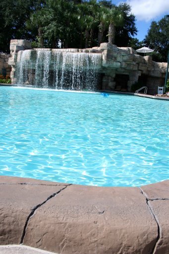 IMG_8305 IMG_8305