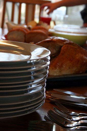 IMG_9146 IMG_9146