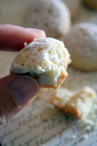 IMG_9216 IMG_9216