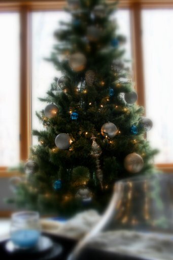 IMG_9349 IMG_9349