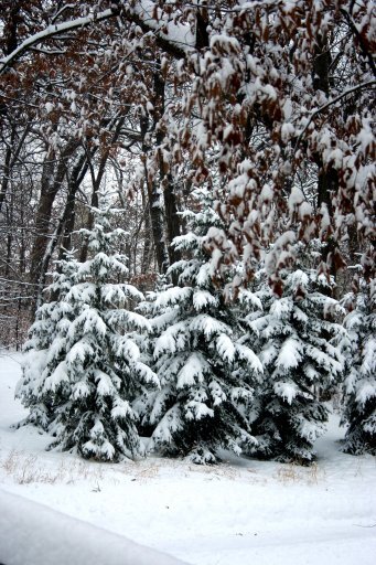 IMG_9654 IMG_9654