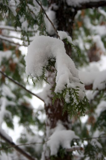 IMG_9662 IMG_9662